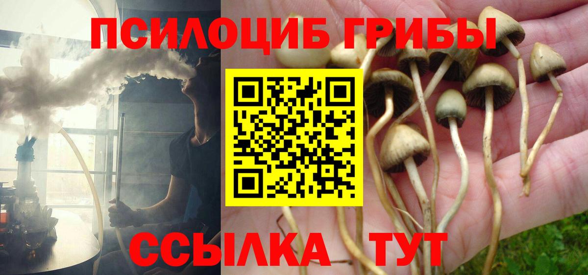 Ефремов  Галлюциногенные грибы GOLDEN TEACHER  Вход с VPN  Псилоцибиновые грибы Cubensis 